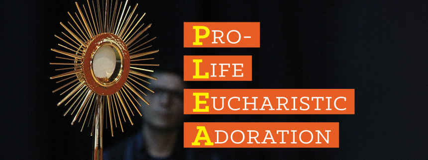 PLEA Novena - Pro-Life Eucharistic Adoration - January 12-20, 2022 |  Diocese of Sacramento
