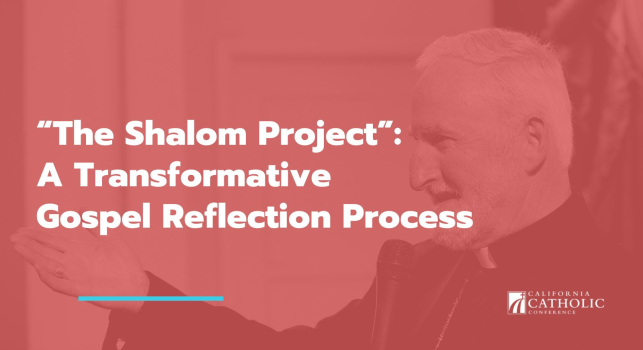 The Shalom Project - A transformative Gospel reflection process