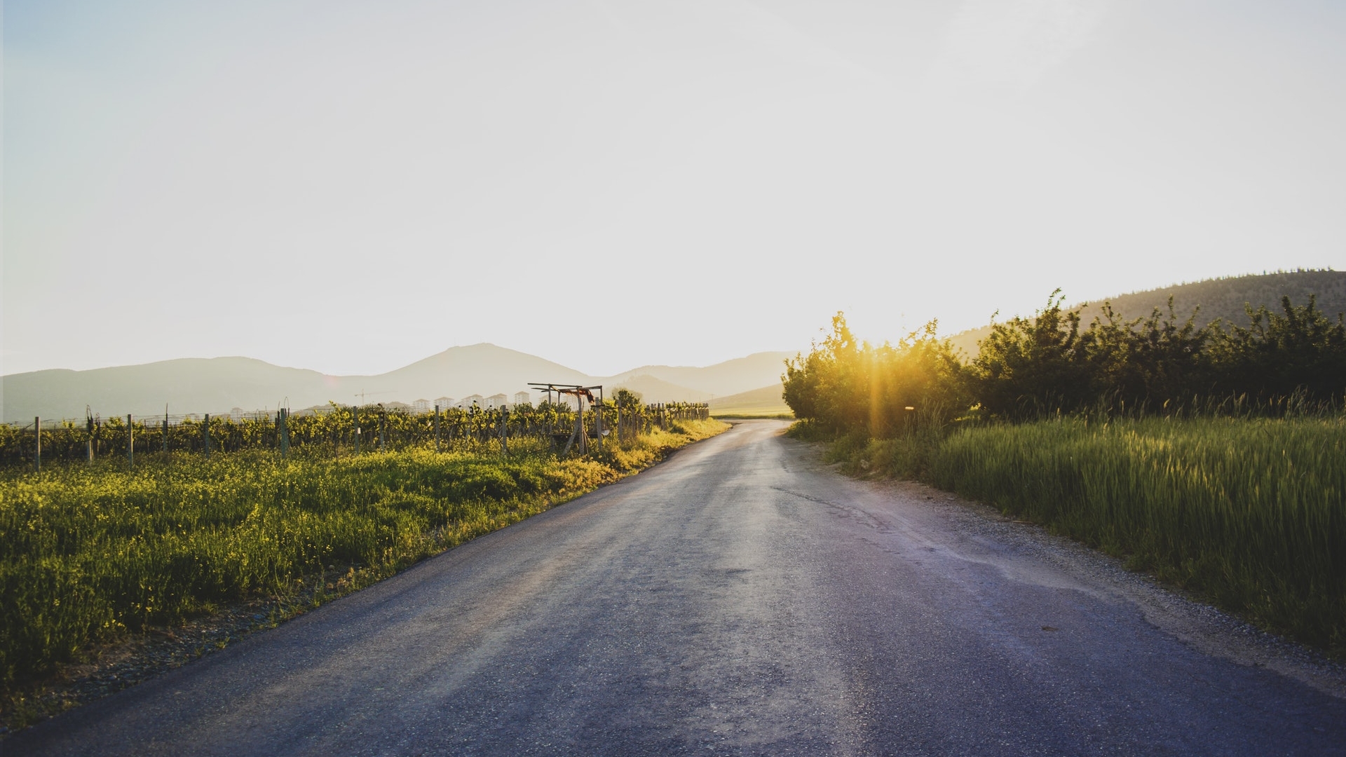 Hopeful road