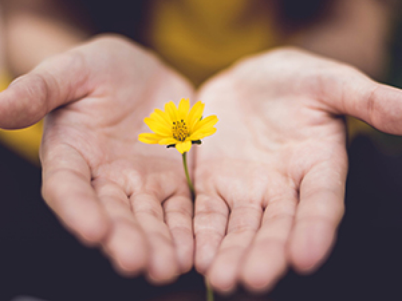 Giving - Support or Find Other Causes and Initiatives